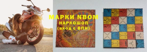 гидра Белокуриха