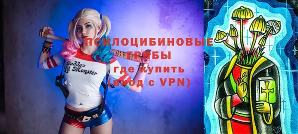 гашик Белоозёрский