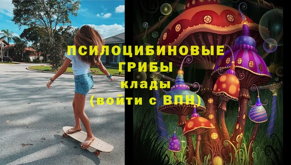 бошки Беломорск