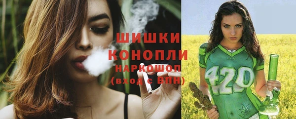 гидра Белокуриха