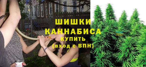 гашик Белоозёрский