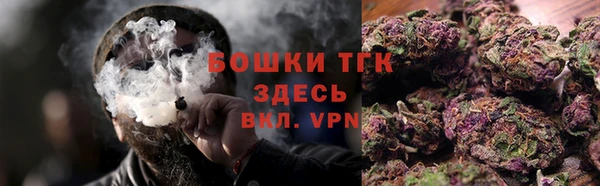 гидра Белокуриха