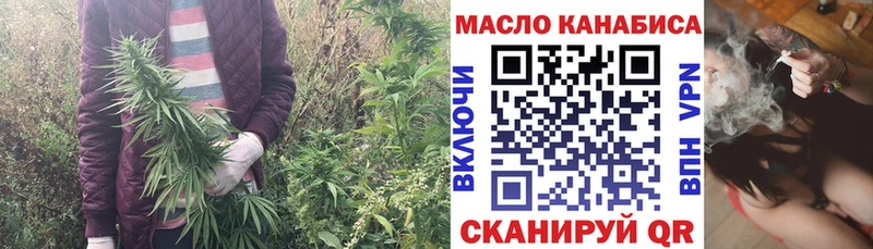 где найти   Свободный  OMG   ТГК Wax 